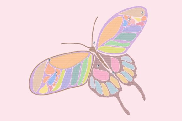 Colorful November Butterfly