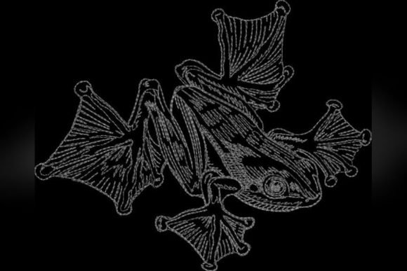 Frog One Line
