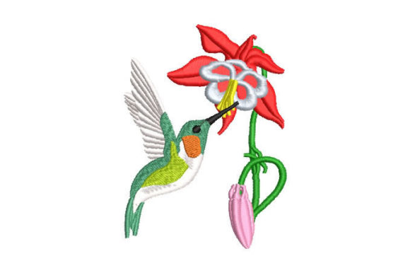 Hummingbird Pecking a Flower