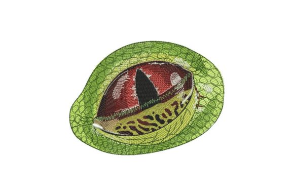 Reptile Eye